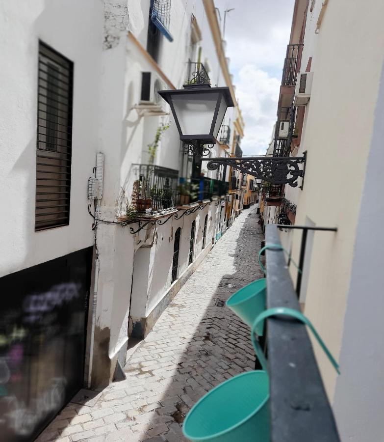 Lovely Center Apartments - Alameda Sunny Terrace Σεβίλλη Εξωτερικό φωτογραφία